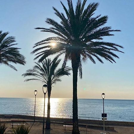 אנטיב Fully Equipped Beachfront Studio In The Heart Of The City Center Bd Leclerc מראה חיצוני תמונה